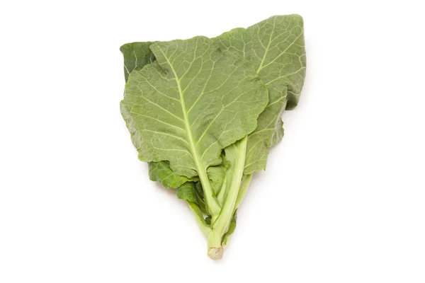 Spring Greens (Brassica oleracea) izolat pe un studio alb — Fotografie, imagine de stoc