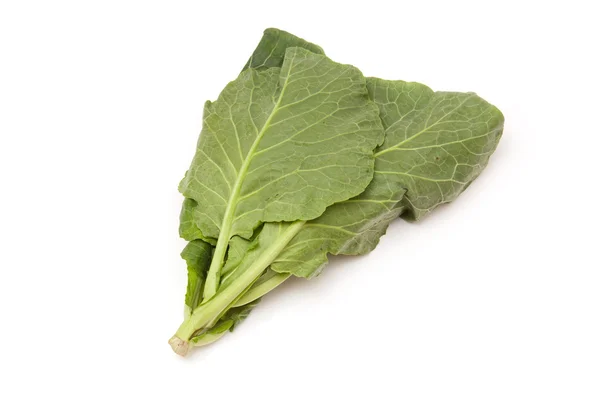 Spring Greens (Brassica oleracea ) isolated on a white studio ba — Stock Photo, Image