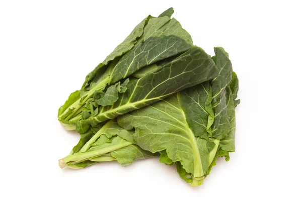 Spring Greens (Brassica oleracea ) isolated on a white studio ba — Stock Photo, Image