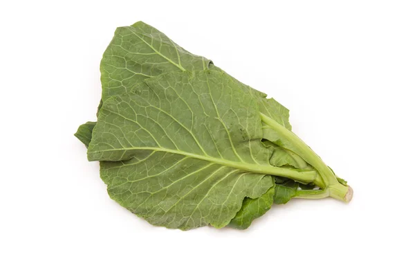 Spring Greens (Brassica oleracea ) isolated on a white studio ba — Stock Photo, Image