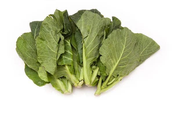 Spring Greens (Brassica oleracea ) isolated on a white studio ba — Stock Photo, Image