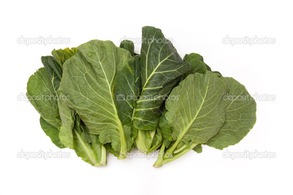 Spring Greens (Brassica oleracea ) isolated on a white studio ba