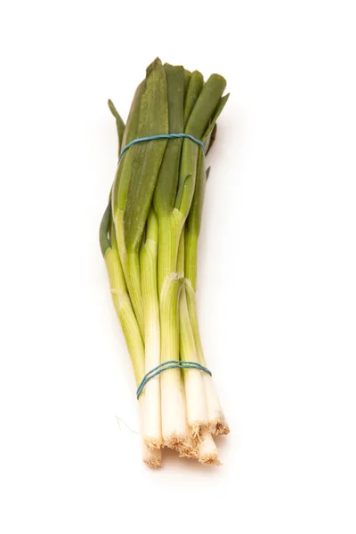 Spring onions — Stock Photo, Image