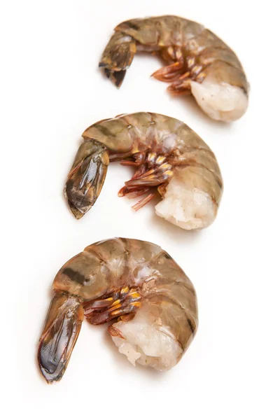 Tiger prawns or Asian tiger shrimps. — Stock Photo, Image