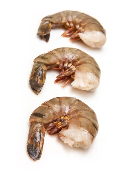 Tiger prawns or Asian tiger shrimps. — Stock Photo, Image