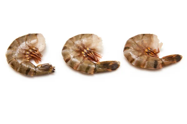 Tiger prawns or Asian tiger shrimps. — Stock Photo, Image