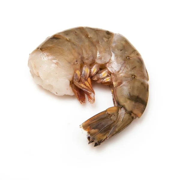 Tiger prawn or Asian tiger shrimp. — Stock Photo, Image