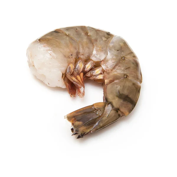 Tiger prawn or Asian tiger shrimp. — Stock Photo, Image
