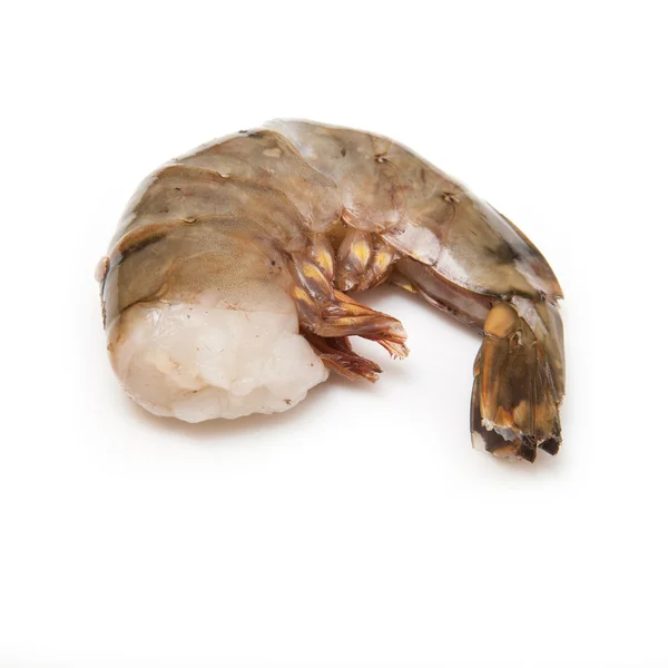 Tiger prawn or Asian tiger shrimp. — Stock Photo, Image