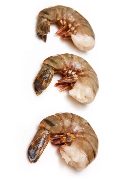 Tiger prawn — Stock Photo, Image