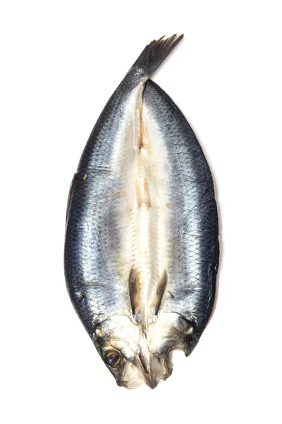 Silver kipper — Stock Photo, Image