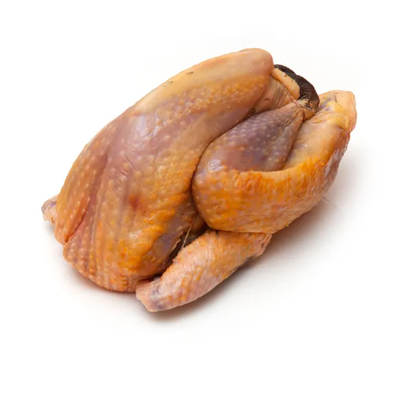 Guinea fowl on a white studio background. — Stock Photo, Image