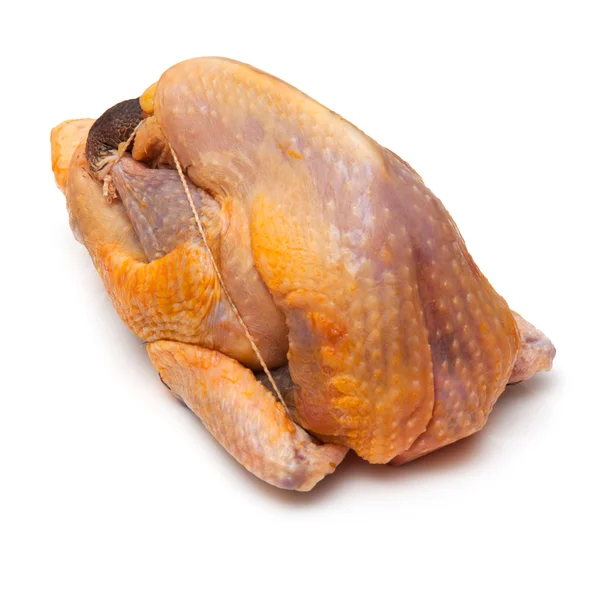 Guinea fowl on a white studio background. — Stock Photo, Image