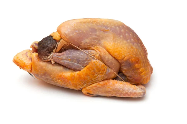 Guinea fowl on a white studio background. — Stock Photo, Image