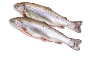 iki gökkuşağı alabalık