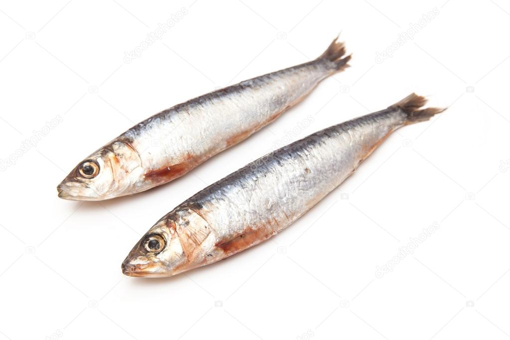 Cornish sardines