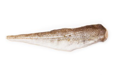 morina filetosu