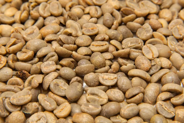 Gröna kaffebönor — Stockfoto