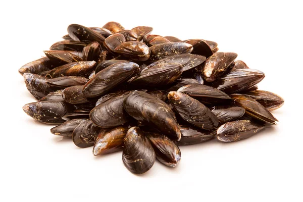 Mussels — Stock Photo, Image