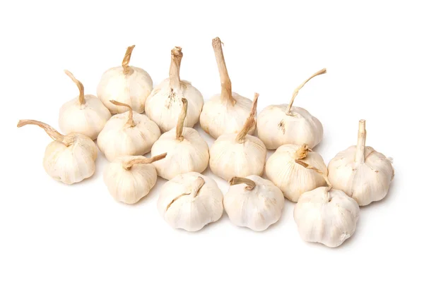 String of Garlic bulbs — Stock Photo, Image