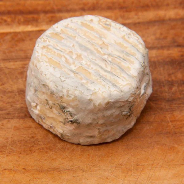 Blauschimmelkäse — Stockfoto