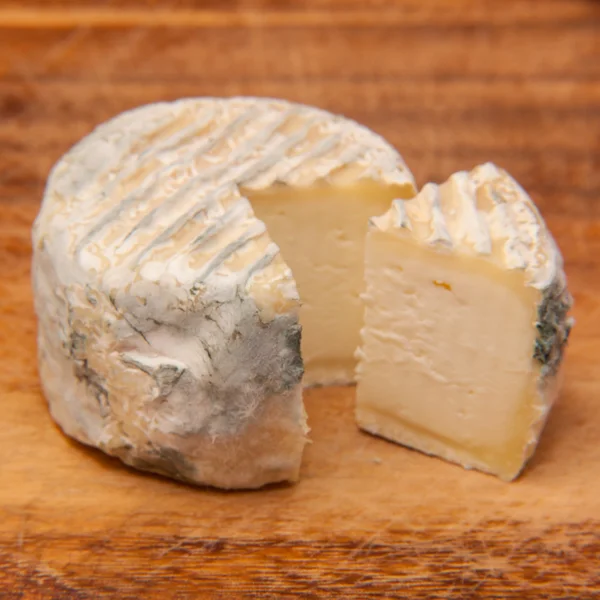 Blauschimmelkäse — Stockfoto