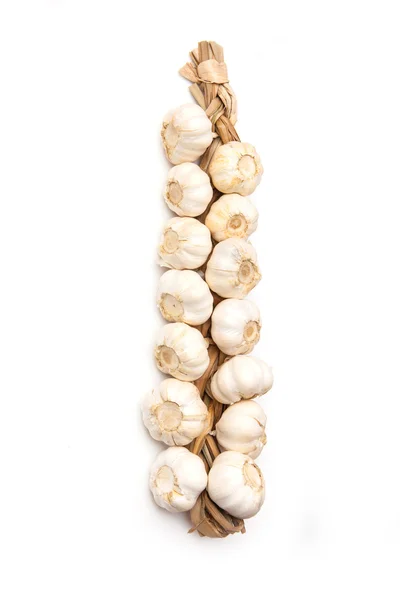 String of Garlic bulbs — Stock Photo, Image