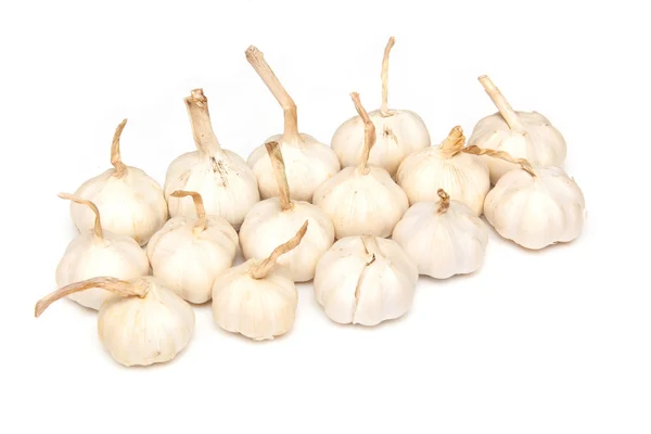 String of Garlic bulbs — Stock Photo, Image