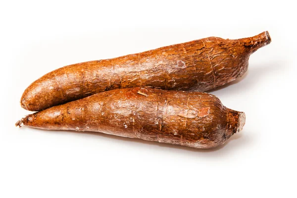 Cassava atau Manioc akar (Manihot esculenta ) — Stok Foto