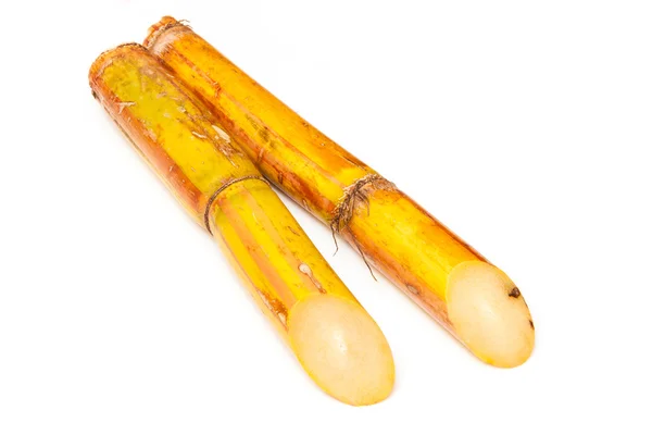 Sugar cane isolated on a white studio background. — Stock Photo, Image