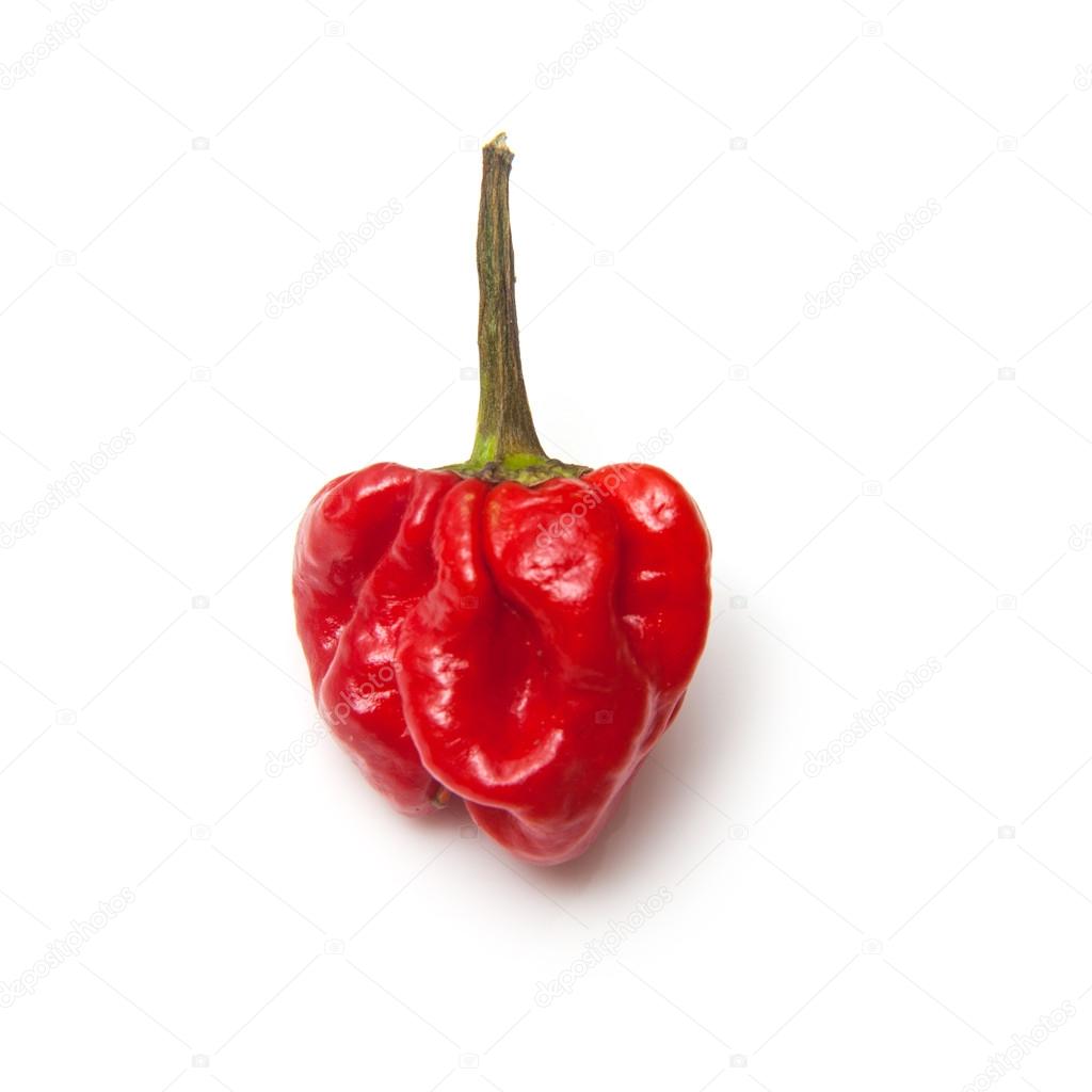 Scotch bonnet chili peppers