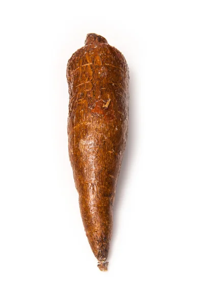 Korzenie manioku lub manioku (manihot esculenta) — Zdjęcie stockowe