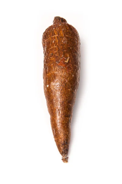 Korzenie manioku lub manioku (manihot esculenta) — Zdjęcie stockowe