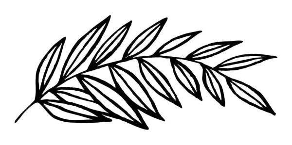 Grafika liniowa liść palmy. Kontur rysunku. Sztuka minimalizmu. Nowoczesny wystrój. — Wektor stockowy