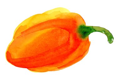 Sarı dolma biber. Beyaz arkaplanda elle çizilmiş suluboya resim, vektör illüstrasyonu.
