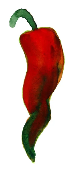 Pintura de acuarela de pimiento rojo picante, condimento, comida — Archivo Imágenes Vectoriales