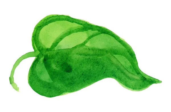 De groene bladeren. Aquarel. vrije hand tekening Natuur, natuurlijke kleur — Stockvector