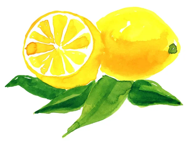 Vektorové pozadí svěží limon se zelenými listy. Potravinový prvek pro Váš design — Stockový vektor