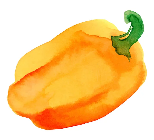 黄色的甜椒白色背景的手绘水彩画,矢量图解. — 图库矢量图片