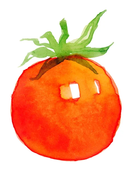 Suluboya domates vektörü. Kırmızı sebzeler, doğal yiyecekler — Stok Vektör