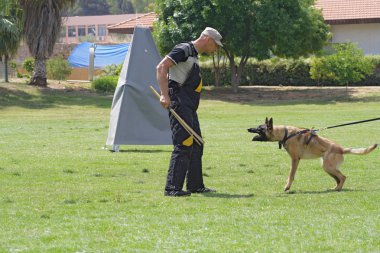 köpek eğitim okulu.