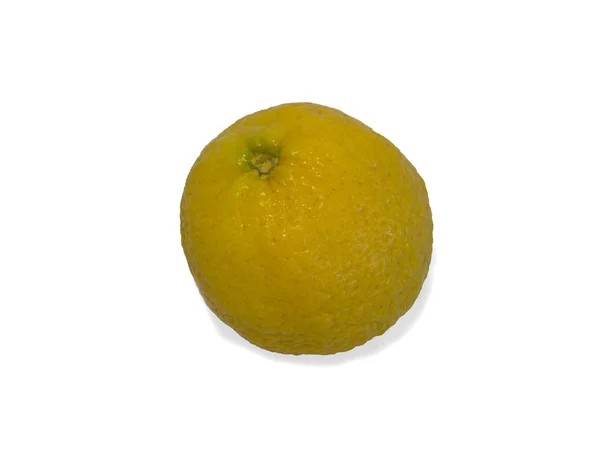 白色背景的柠檬. — 图库照片