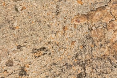 doku - ağaç kabuğu