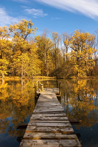 Vista desde Yetty el bosque de otoño —  Fotos de Stock