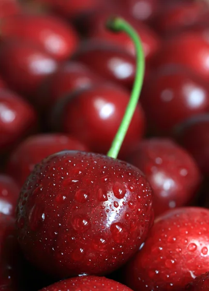 Detailní pohled Cherry — Stock fotografie