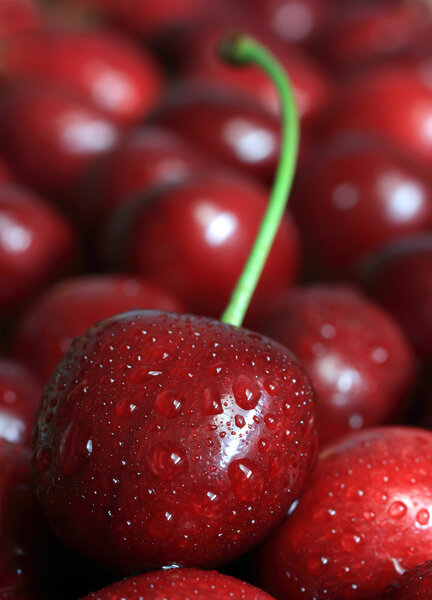 Detailed view of the cherry