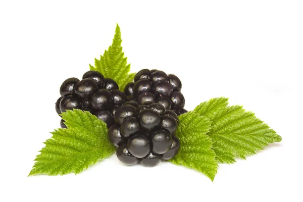 Blackberries — Stock Photo, Image