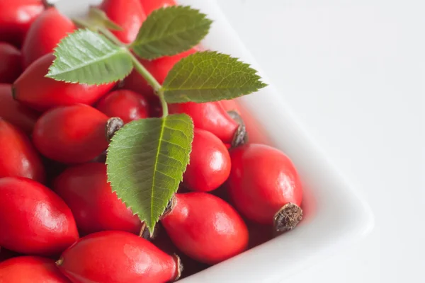 Beyaz bir kase kalça