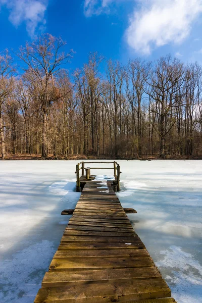 Pier en ijs — Stockfoto