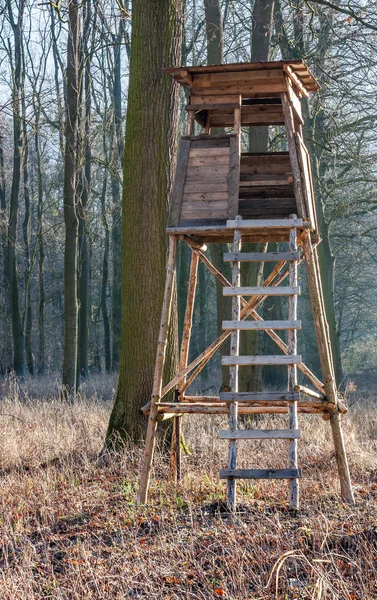 Beobachtungsstelle für Wildtiere — Stockfoto